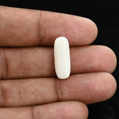 Japani White Coral 7.61 Carat