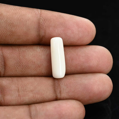 Japani White Coral 6.84 Carat