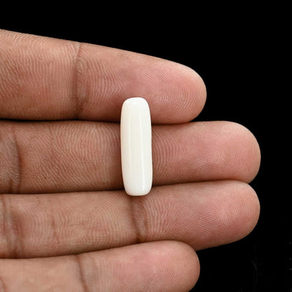 Japani White Coral 6.88 Carat