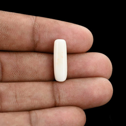 Japani White Coral 6.52 Carat
