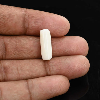 Japani White Coral 7.46 Carat