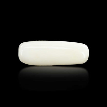 Japani White Coral 7.14 Carat