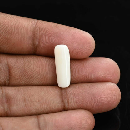 Japani White Coral 7.14 Carat