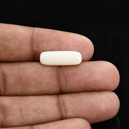 Japani White Coral 6.05 Carat
