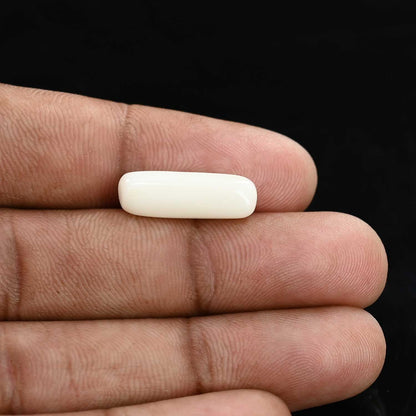 Japani White Coral 6.98 Carat
