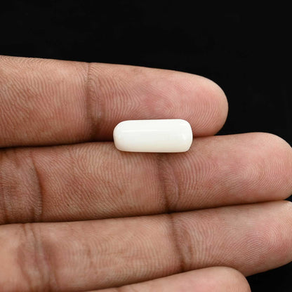 Japani White Coral 5.57 Carat