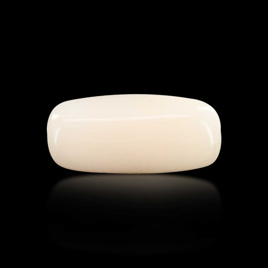 Japani White Coral 7.41 Carat