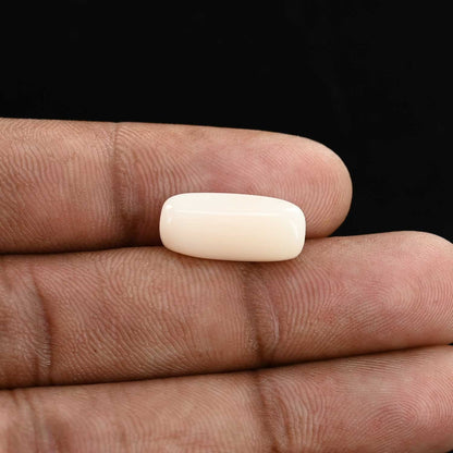 Japani White Coral 7.41 Carat
