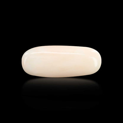 Japani White Coral 7.24 Carat
