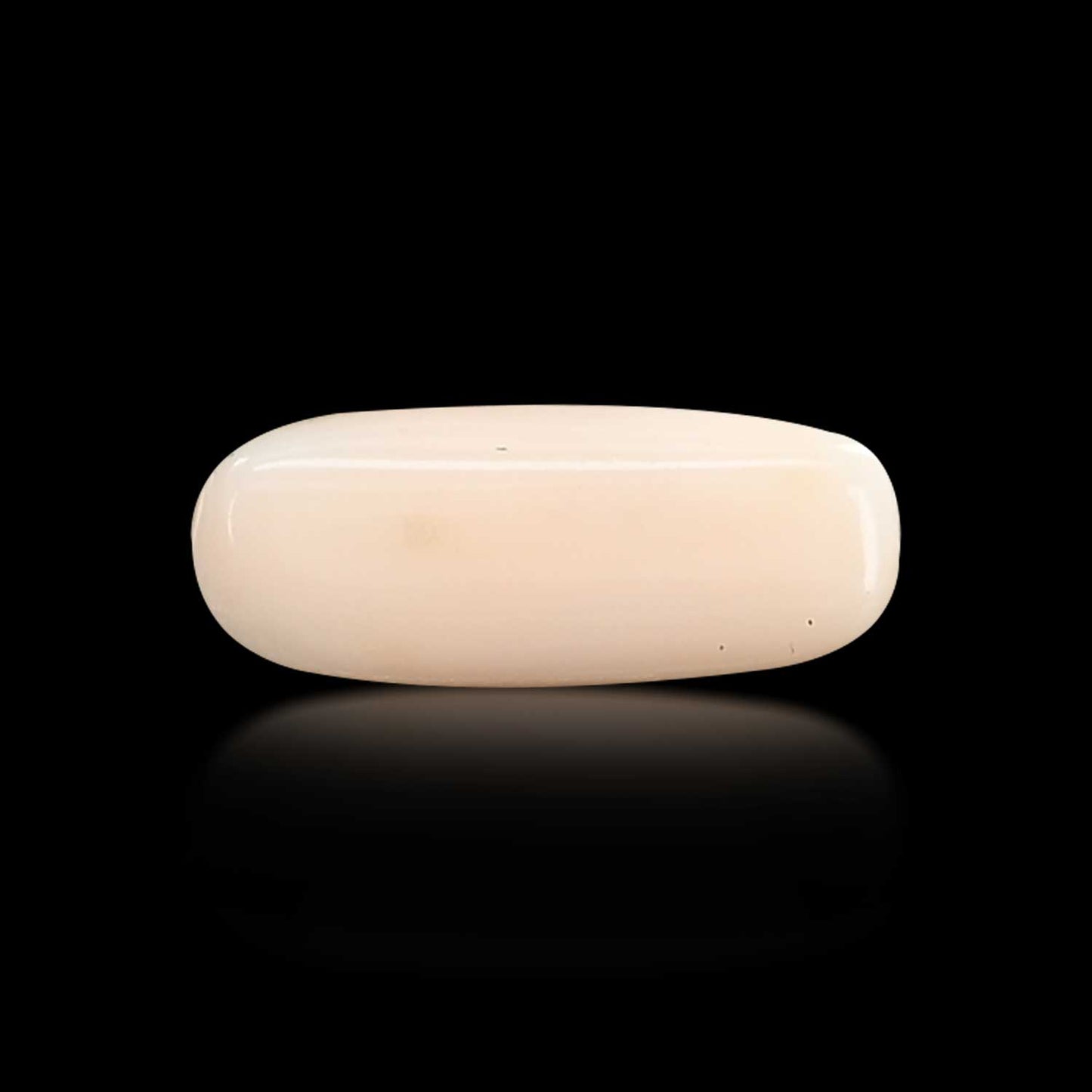 Japani White Coral 7.24 Carat