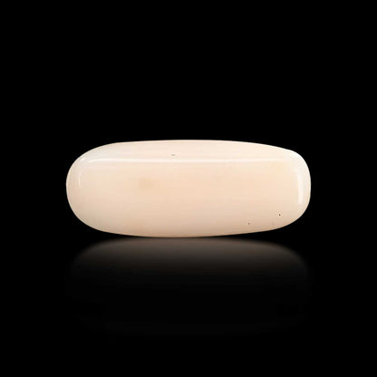 Japani White Coral 7.24 Carat