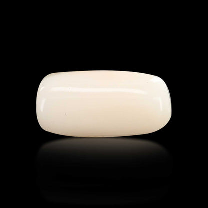 Japani White Coral 7.15 Carat