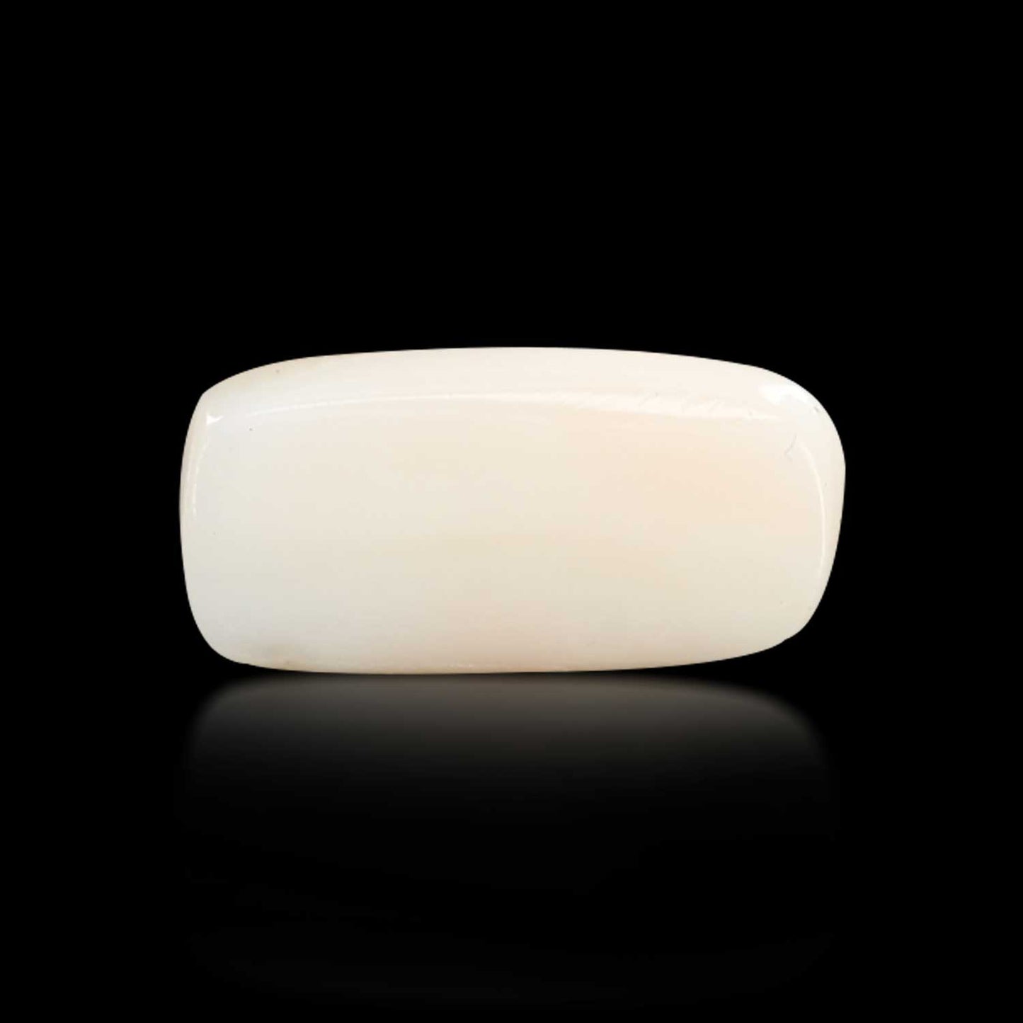 Japani White Coral 7.15 Carat