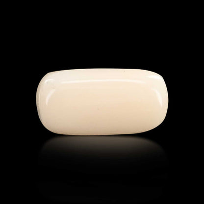 Japani White Coral 6.57 Carat