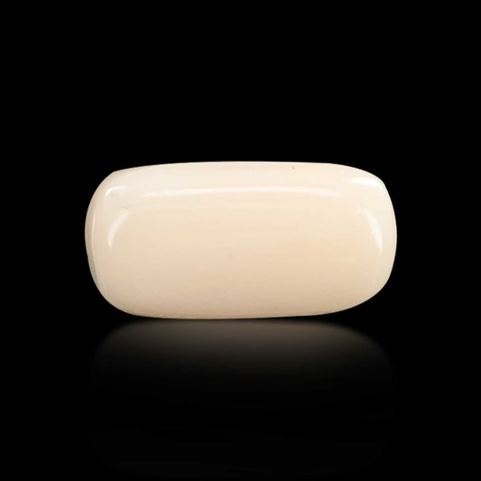 Japani White Coral 6.57 Carat