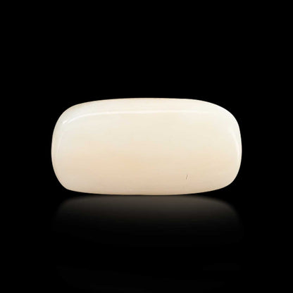 Japani White Coral 6.57 Carat