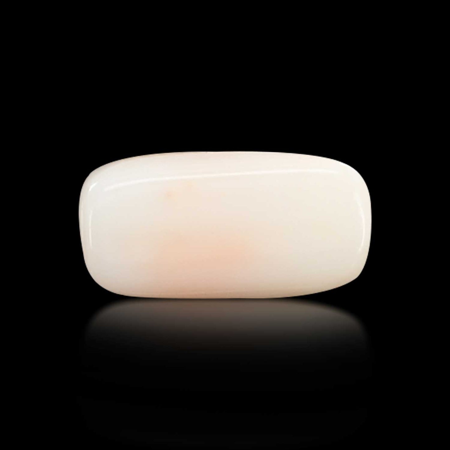 Japani White Coral 6.76 Carat