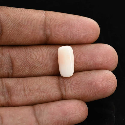 Japani White Coral 6.76 Carat