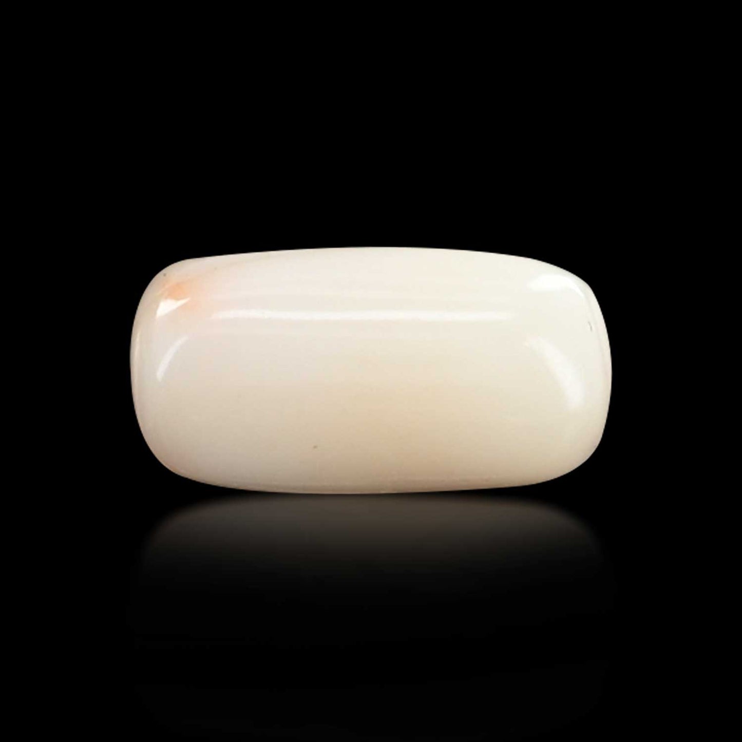 Japani White Coral 7.31 Carat
