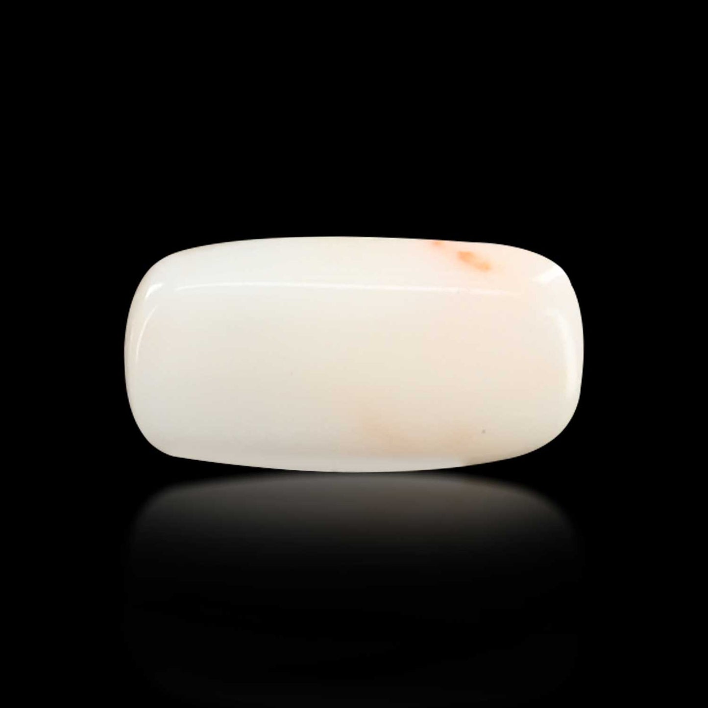 Japani White Coral 7.31 Carat