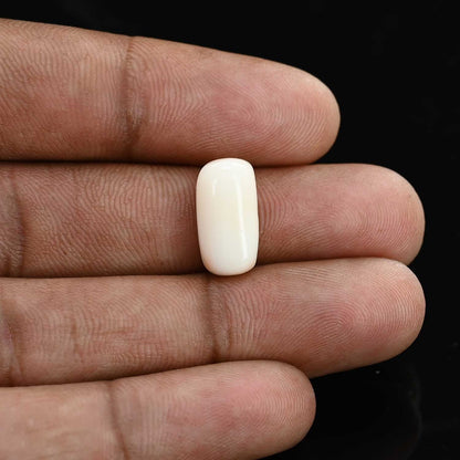 Japani White Coral 7.31 Carat