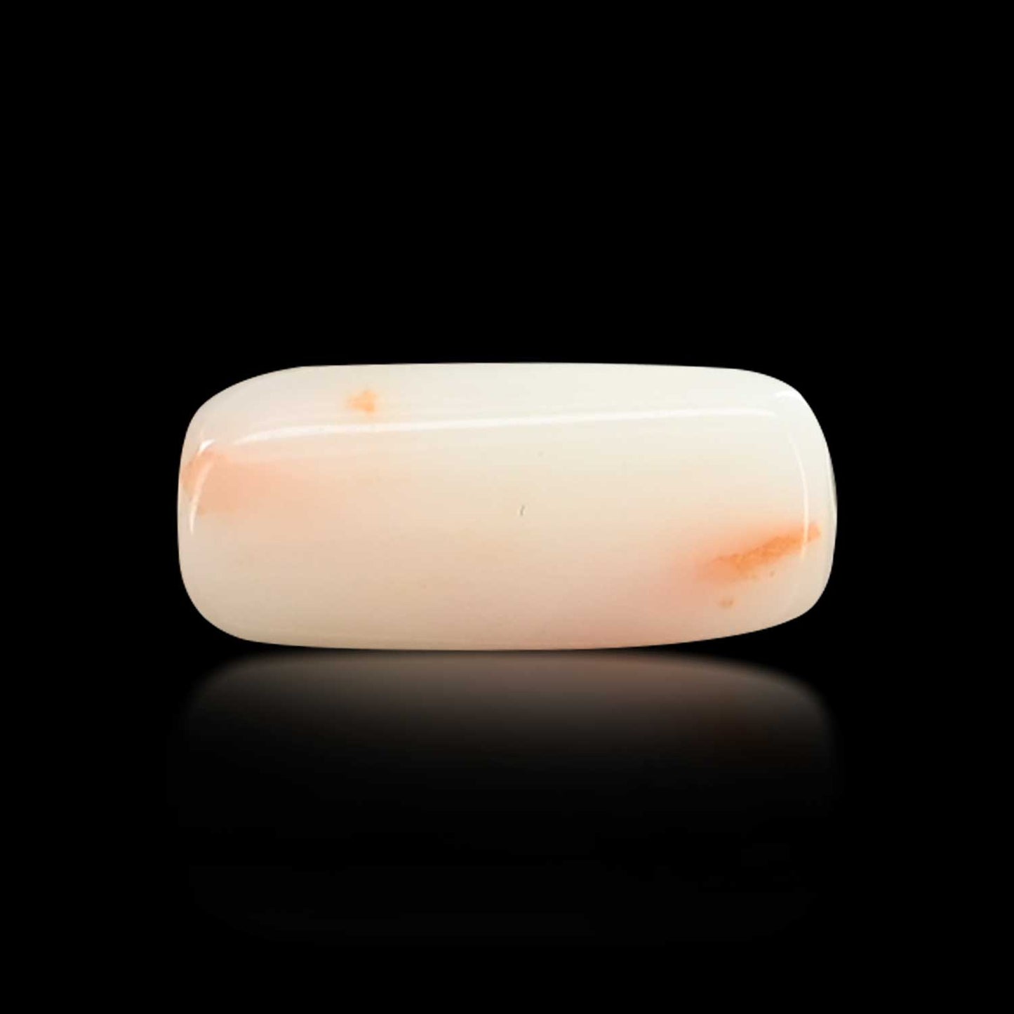 Japani White Coral 6.72 Carat