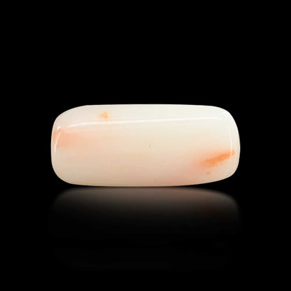 Japani White Coral 6.72 Carat