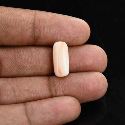 Japani White Coral 6.72 Carat