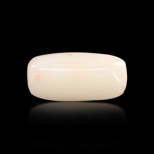 Japani White Coral 6.84 Carat