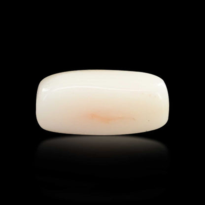 Japani White Coral 6.84 Carat