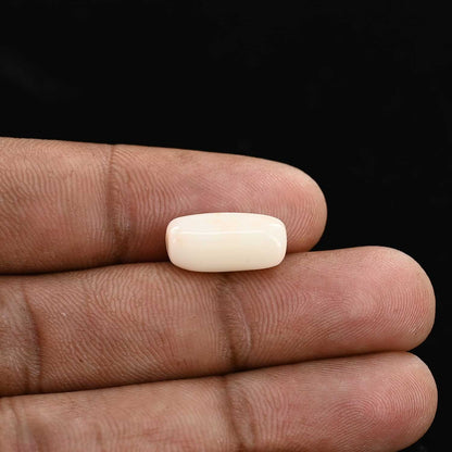 Japani White Coral 6.84 Carat