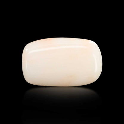 Japani White Coral 5.41 Carat