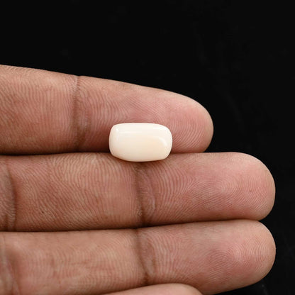 Japani White Coral 5.41 Carat