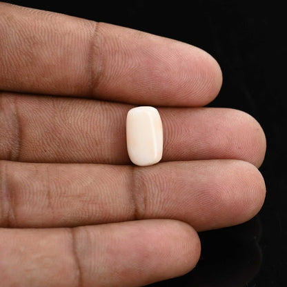 Japani White Coral 5.41 Carat