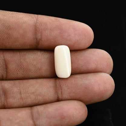 Japani White Coral 7.62 Carat