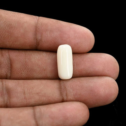 Japani White Coral 6.8 Carat