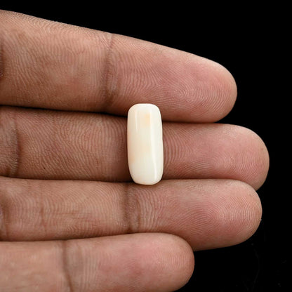 Japani White Coral 6.8 Carat