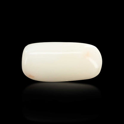 Japani White Coral 7.35 Carat