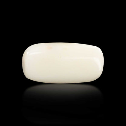 Japani White Coral 7.35 Carat