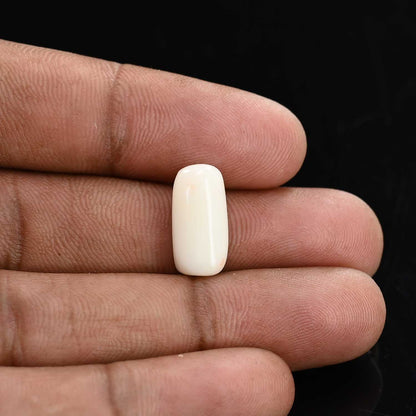 Japani White Coral 7.35 Carat