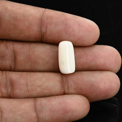 Japani White Coral 7.35 Carat