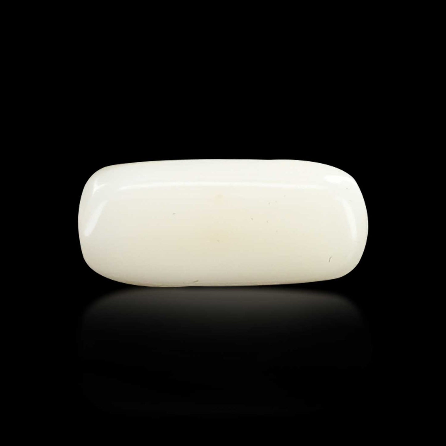 Japani White Coral 8.31 Carat