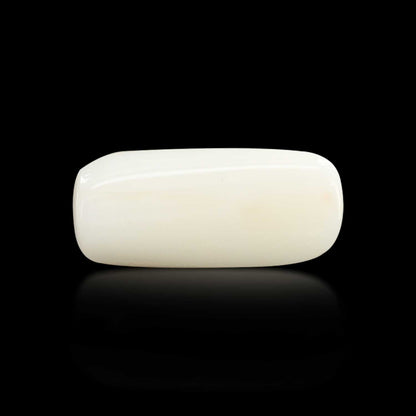 Japani White Coral 8.31 Carat