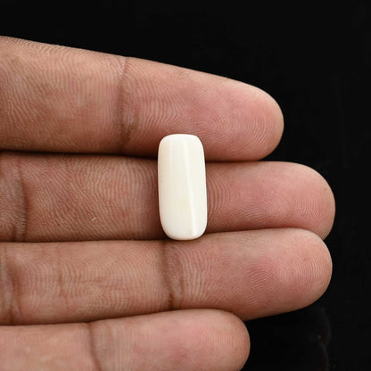 Japani White Coral 8.31 Carat