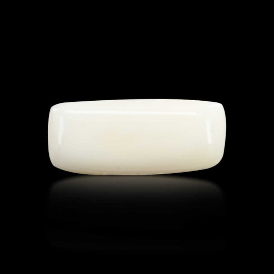 Japani White Coral 7.8 Carat