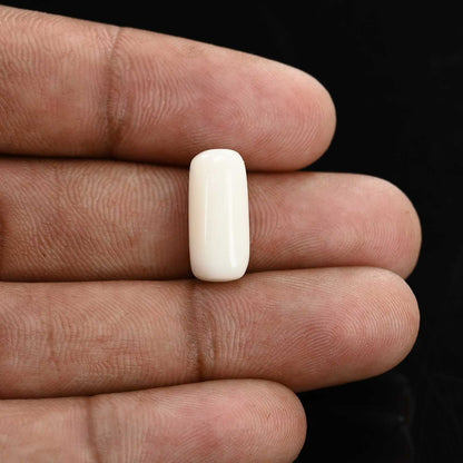 Japani White Coral 7.8 Carat