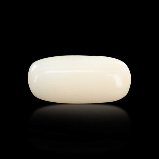 Japani White Coral 7.19 Carat