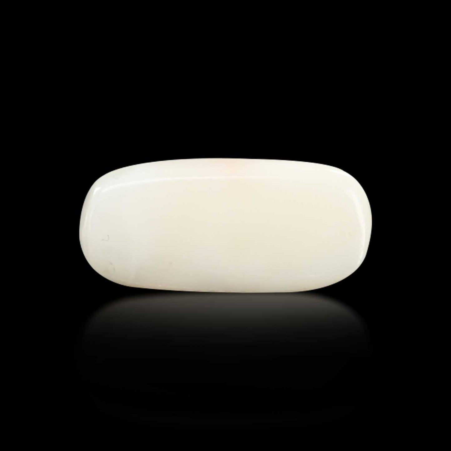 Japani White Coral 7.19 Carat