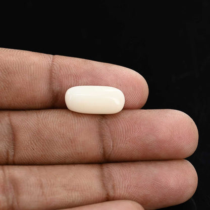 Japani White Coral 7.19 Carat