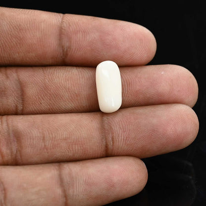 Japani White Coral 6.12 Carat